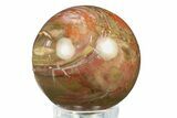 Colorful Petrified Wood (Araucaria) Sphere - Madagascar #286131-1